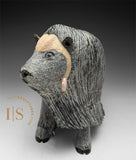 14" SIGNATURE Muskox by Lucassie Ikkidluak *Full of Heart*