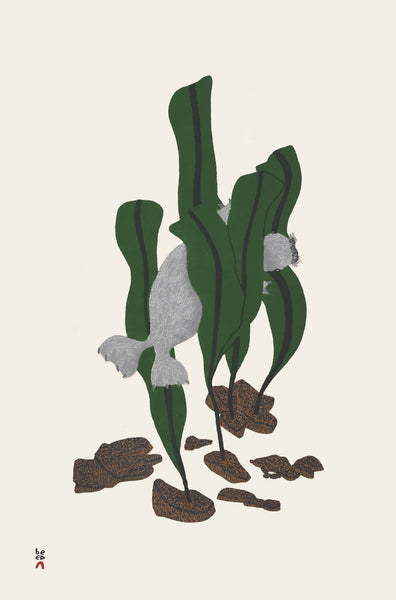 2025 Seal Amongst Kelp, 2020 by SHUVINAI ASHOONA