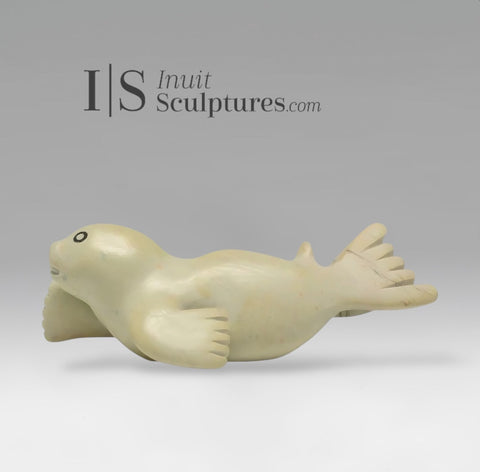 6" Seal Pup by Toonoo Sharky *Olympic Sledder*