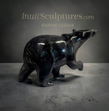 13" SIGNATURE Walking Bear by Tim Pee