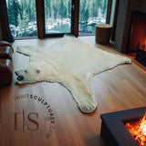 Original Polar Bear Skin Rug
