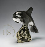 7” SIGNATURE Orca by Johnnysa Mathewsie *Poised*