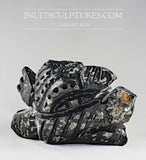 12" Transformtion by Clayton Keknek Gjoa Haven *Earth Man*