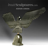 18" Hawk by Joe Sala *Cleared For Landing*