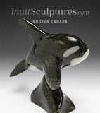 6" SIGNATURE Orca by Johnnysa Mathewsie Family Jewels Two*