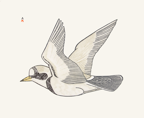 2019 Speciial Release by KANANGINAK POOTOOGOOK *Sailing on the Breeze, 1984*