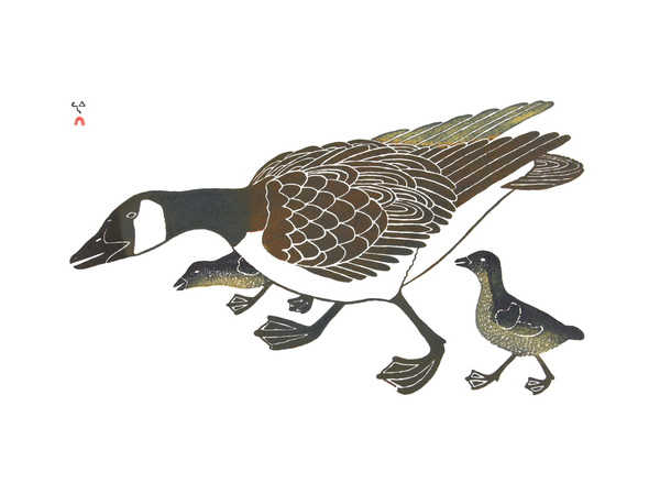 2019 Special Release by KANANGINAK POOTOOGOOK *The First Walk 1985*