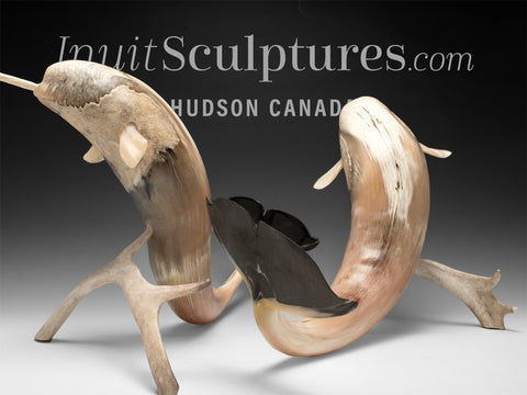 21" Narwhal Mates by Paul Malliki *En Garde!*