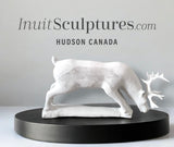 11" SIGNATURE  Caribou by Esau Kripanik *Grazing*