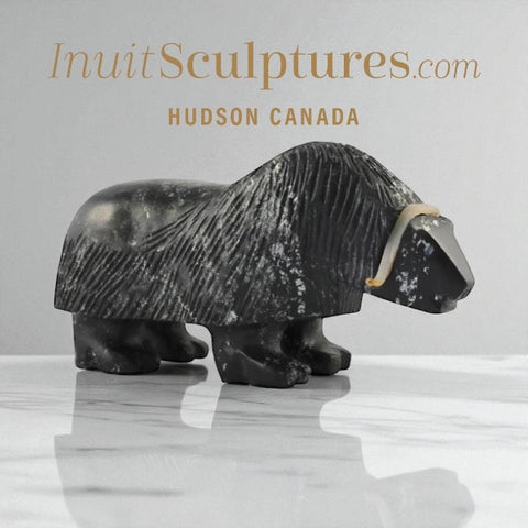 10"  Muskox by Louie Uttaq  Gjoa Haven *Tank*