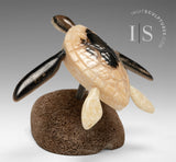 6" Sea Turtle by Harrison Miklahook Jr. *Ancient Wisdom*