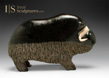 VINTAGE 9" Muskox by Seepee Ipeeli *Chocolate Dream*