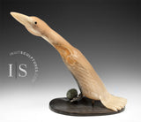 8" Muskox Horn Crane by Buddy Alikamik *Over Here!*