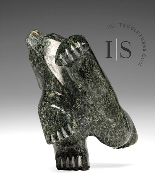 4"  Dancing Bear by Adamie Mathewsie *Rocky*