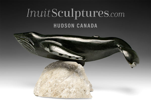 13” Blue Whale by Dale Ford *Colossus*