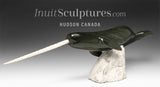 20” Narwhal by Dale Ford *Wisdom Tooth*