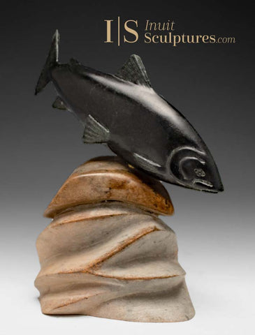 Poisson omble chevalier de 7 pouces par le maître Derrald Taylor *Spawn*