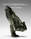 5" Diving Bear by Alusha Sharky *Wimbledon 2025*