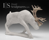 13" SIGNATURE  Caribou by Esau Kripanik *Forging Ahead*