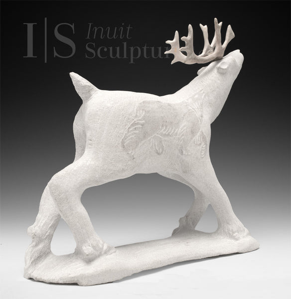 8" SIGNATURE  Caribou by Esau Kripanik *Sinner vs Alcaraz*