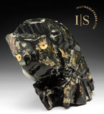 12" Transformtion by Clayton Keknek Gjoa Haven *Earth Man*