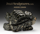 12" Transformtion by Clayton Keknek Gjoa Haven *Earth Man*