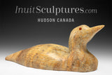 13" SIGNATURE Loon by Bill Nasogaluak *Tangerine*