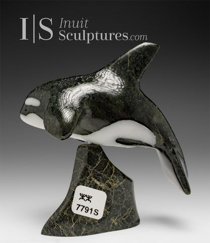 6" SIGNATURE Orca by Johnnysa Mathewsie *Family Jewels*