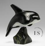 6” SIGNATURE Orca by Johnnysa Mathewsie *Top Gun*