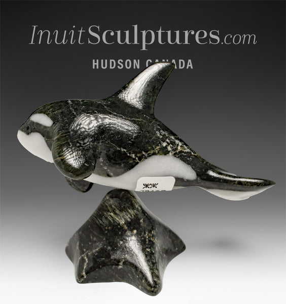 6" SIGNATURE Orca by Johnnysa Mathewsie Family Jewels Two*