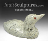 10" SIGNATURE Loon by Lyle Nasogaluak *Algae*