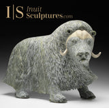 17" SIGNATURE Muskox by Lucassie Ikkidluak *The Buck Stops Here*