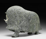 17" SIGNATURE Muskox by Lucassie Ikkidluak *The Buck Stops Here*