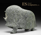 17" SIGNATURE Muskox by Lucassie Ikkidluak *The Buck Stops Here*