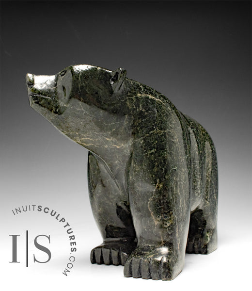 12" Walking Bear by Moe Pootoogook *Yogi Bear*