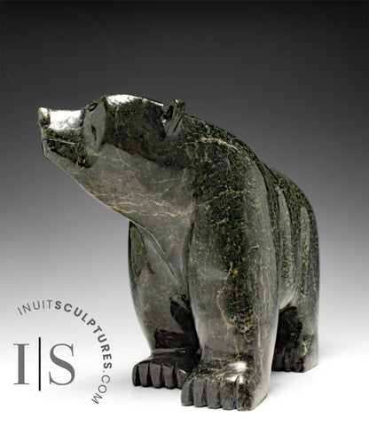 12" Walking Bear by Moe Pootoogook *Yogi Bear*