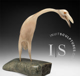 12" SIGNATURE Muskox Horn Crane by Buddy Alikamik *The Eyes Have It*