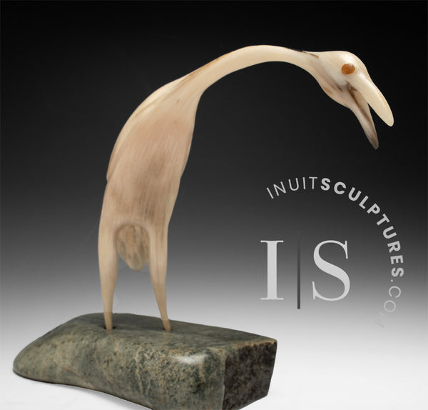 12" SIGNATURE Muskox Horn Crane by Buddy Alikamik *The Eyes Have It*