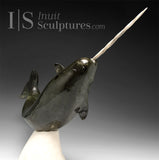 14" Museum Calibre Narwhal by Paul Malliki *Pure Power*