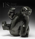 18" SIGNATURE  Sitting Bear by Nuna Parr *Mellow*
