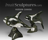 6" SIGNATURE Orca by Johnnysa Mathewsie Family Jewels Two*