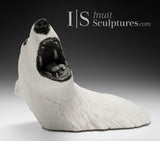 24" Rare Open Mouth Polar Bear Head by Paul Malliki  *Pearly Whites*