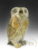 7" SIGNATURE Owl by Pits Qimirpik  *Neil Degrasse*