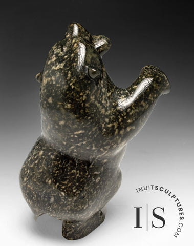 8" Dancing Bear by Qavavau Ashoona *Brownie*