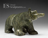 6" Walking Bear by Samayualie Akesuk