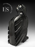 14" SIGNATURE Owl by Sam Qiatsuk *Just Look Over Your Shoulder Baby*