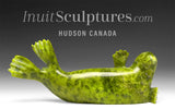 6" Basking Seal by the late Suati Qimirpik *Lean But Not Mean* EXHIBITION PIECE AUG 14