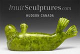 6" Basking Seal by the late Suati Qimirpik *Lean But Not Mean* EXHIBITION PIECE AUG 14
