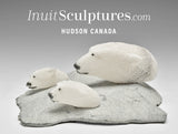 7" Swimming Polar Bears by Mazdak Darehshoripour *Cubs and Dad*