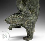 9" Diving Bear by Tim Pee *Ballerina Girl*